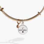 Sagittarius Zodiac Charm Bangle - Willow & Luna