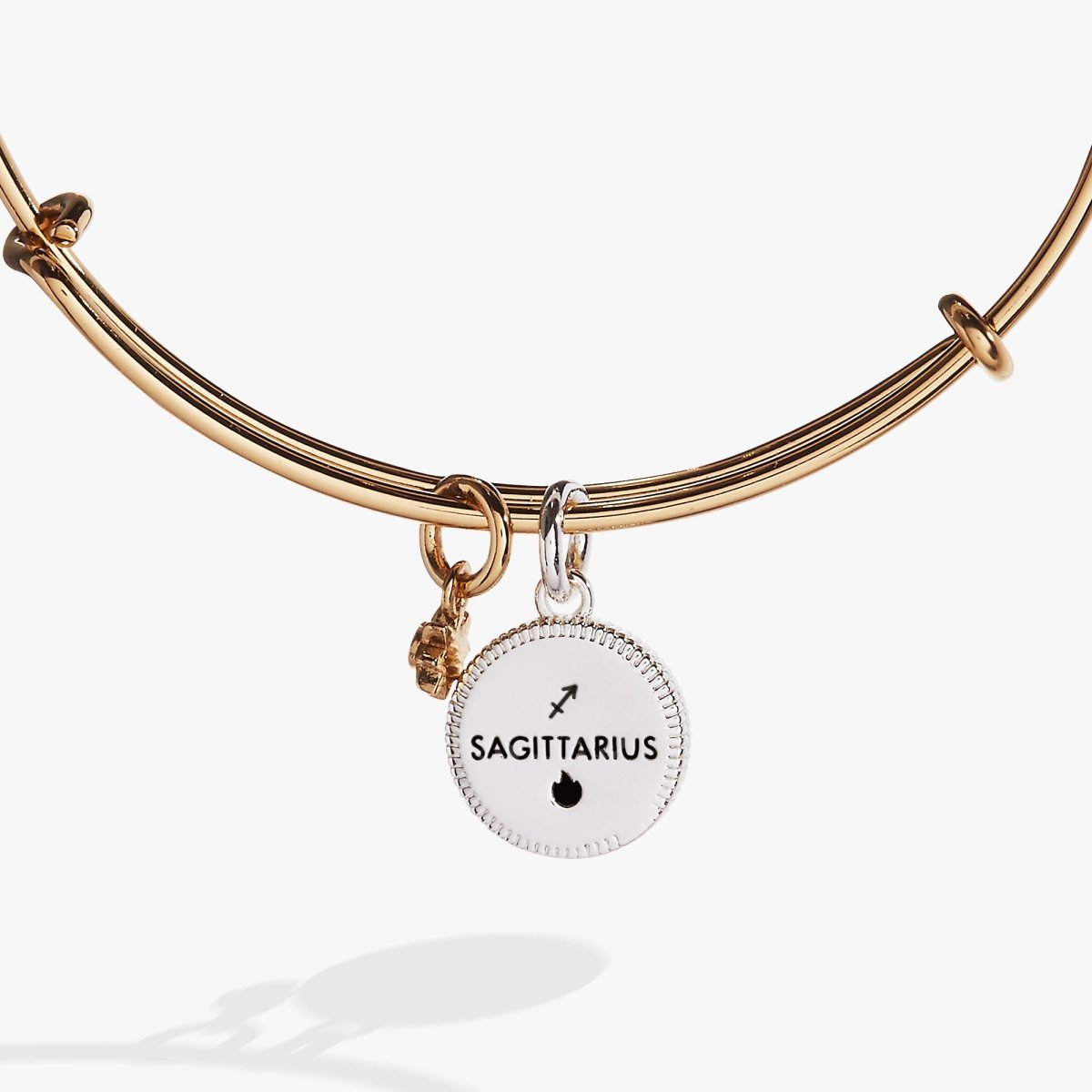 Sagittarius Zodiac Charm Bangle - Willow & Luna