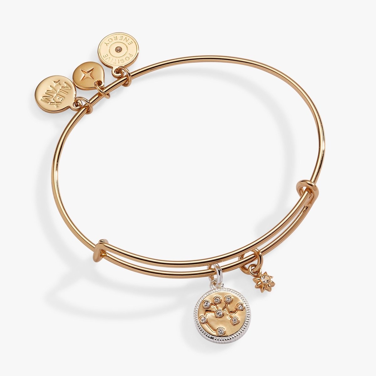 Sagittarius Zodiac Charm Bangle - Willow & Luna
