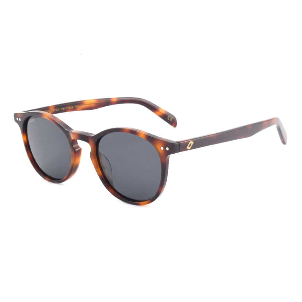 Sagres - Bio Acetate Sunglasses - Willow & Luna