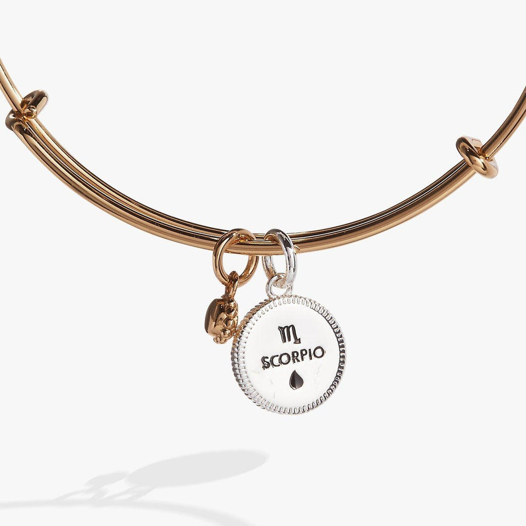 Scorpio Zodiac Charm Bangle - Willow & Luna