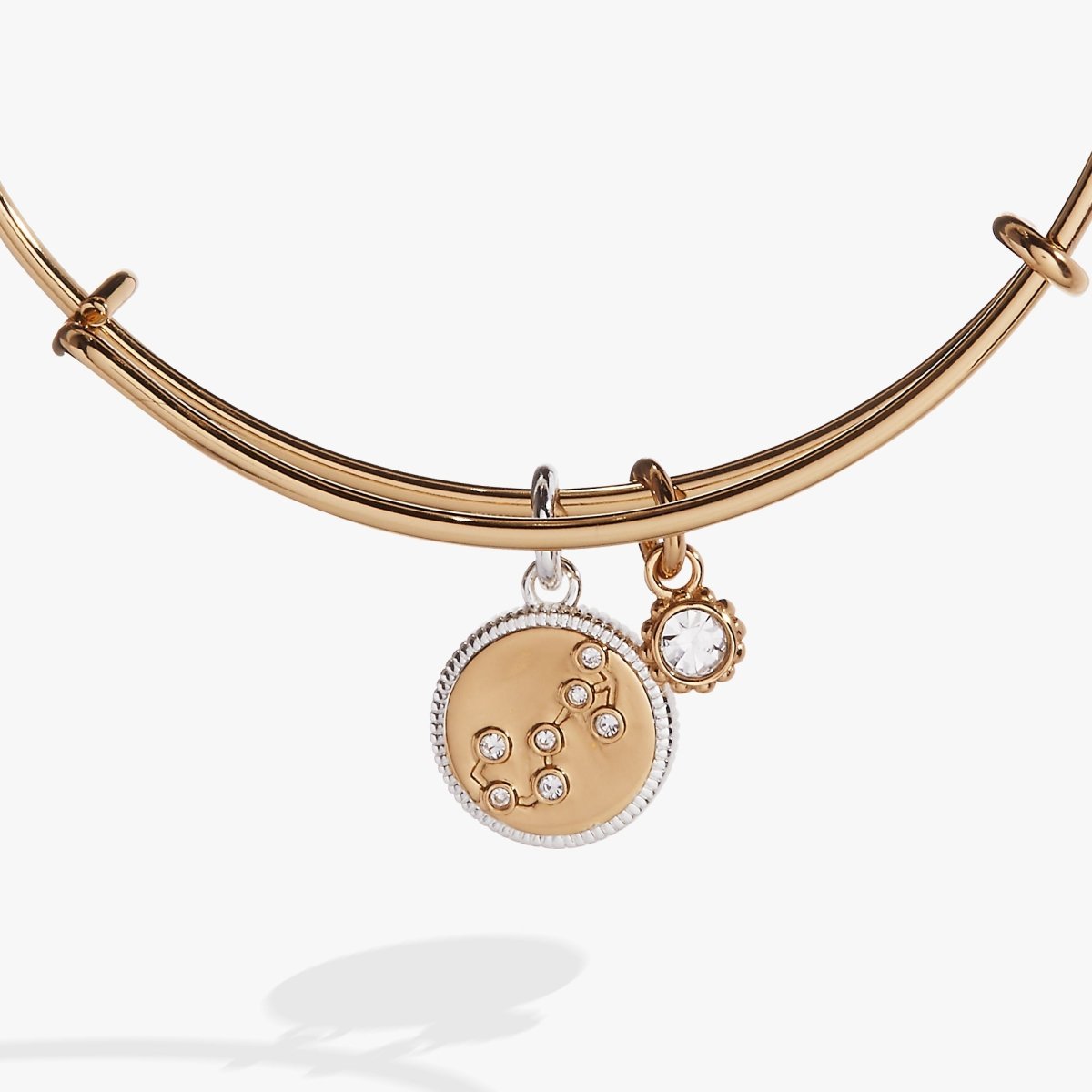 Scorpio Zodiac Charm Bangle - Willow & Luna