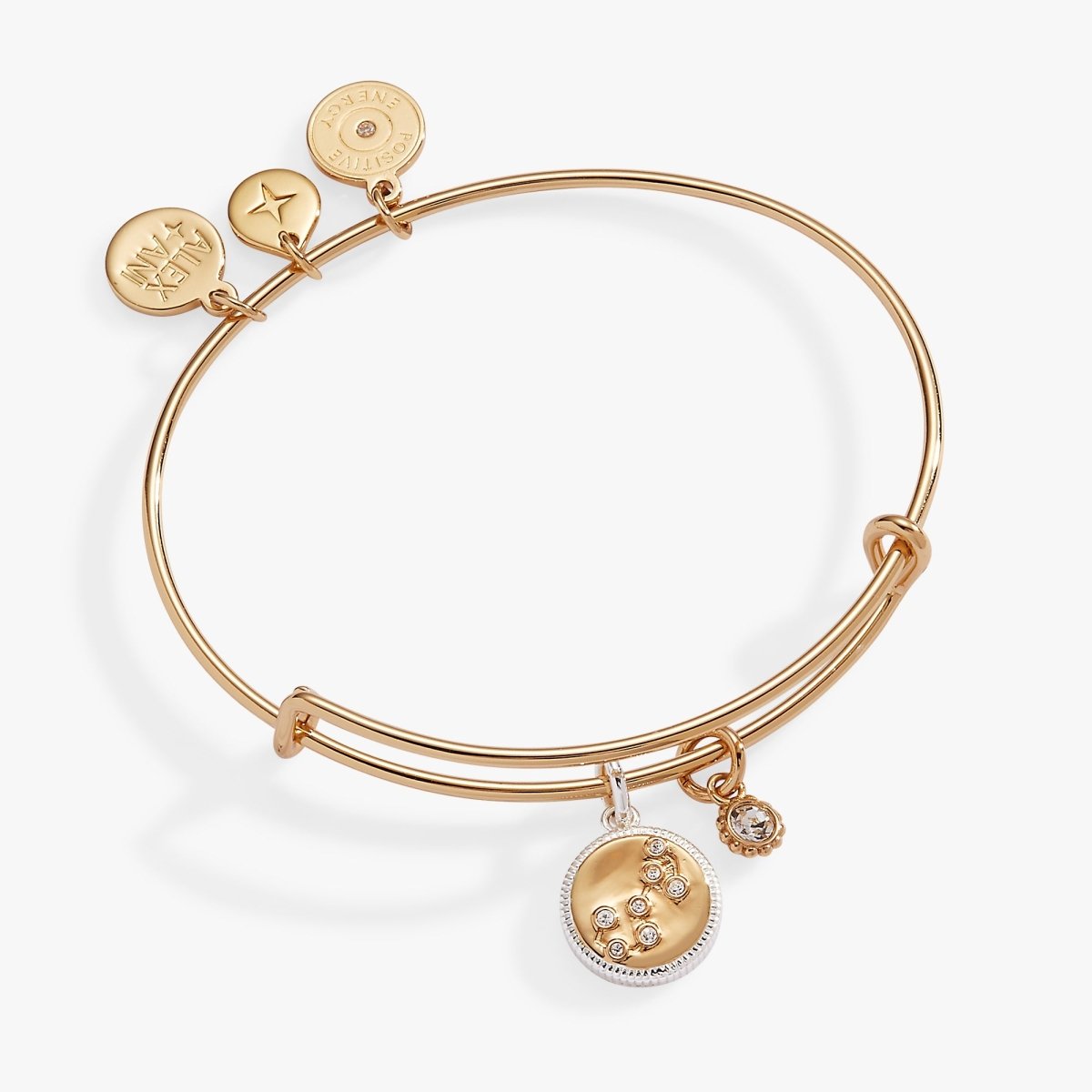 Scorpio Zodiac Charm Bangle - Willow & Luna