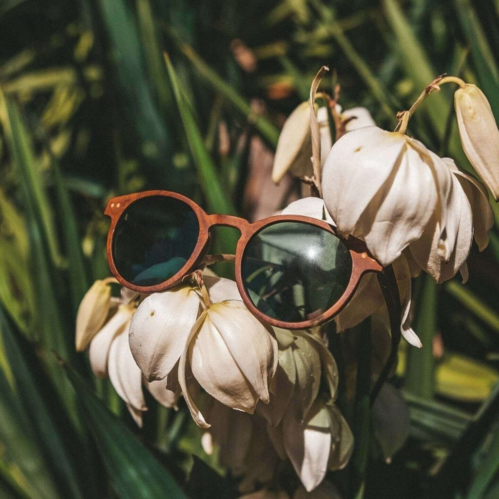 Stinson - Unisex Wooden Sunglasses - Willow & Luna