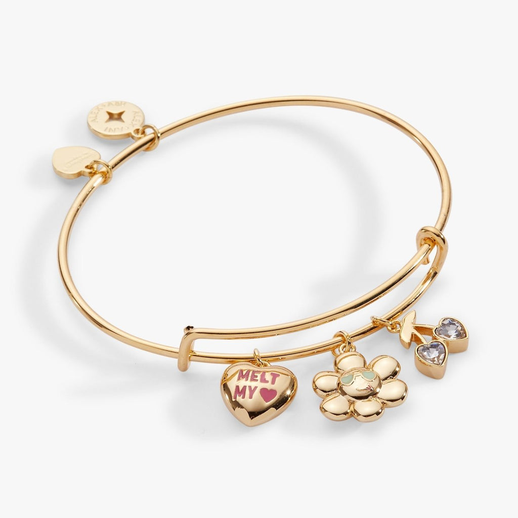 Sweethearts® 'Melt My Heart' Multi Charm Bangle - Willow & Luna