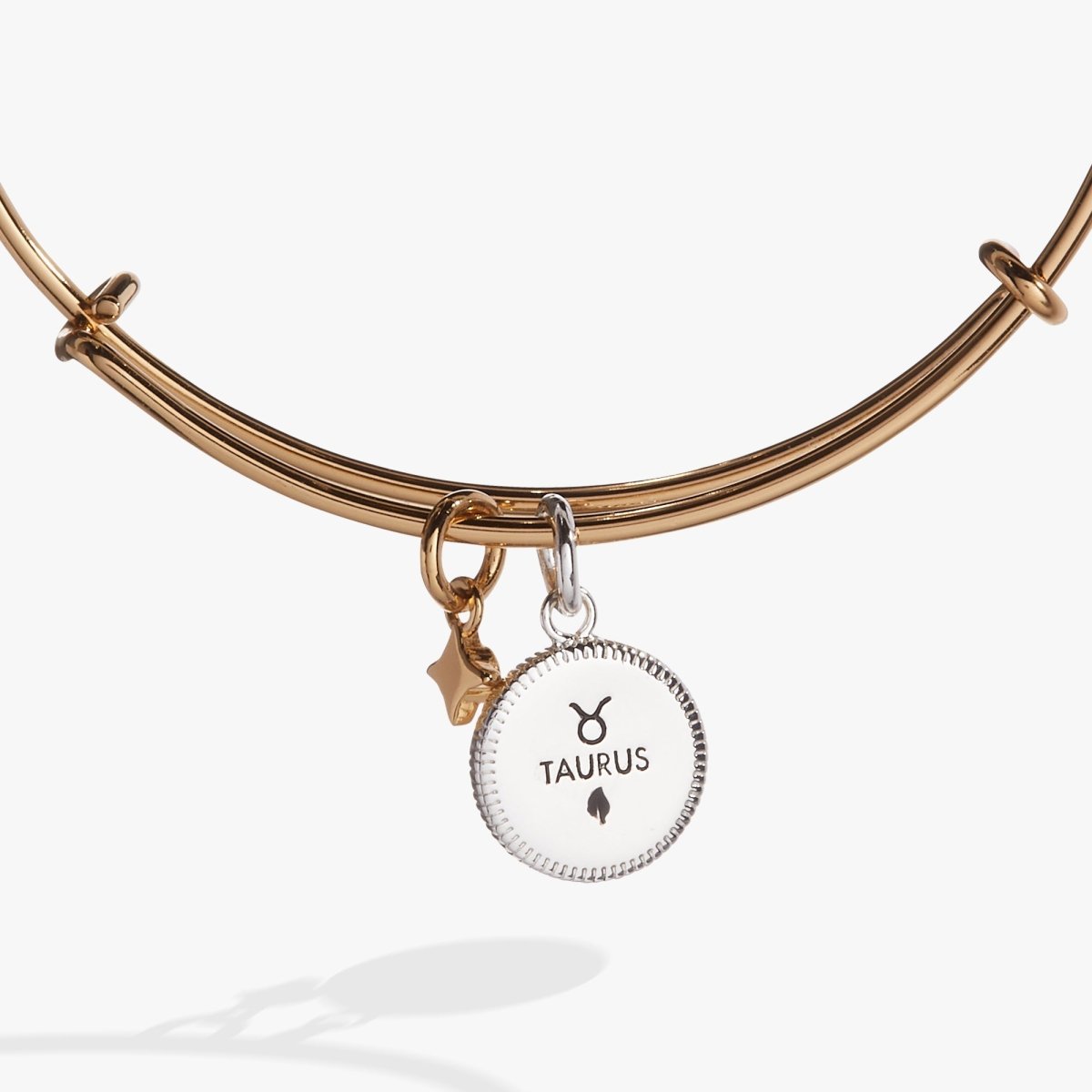 Taurus Zodiac Charm Bangle - Willow & Luna