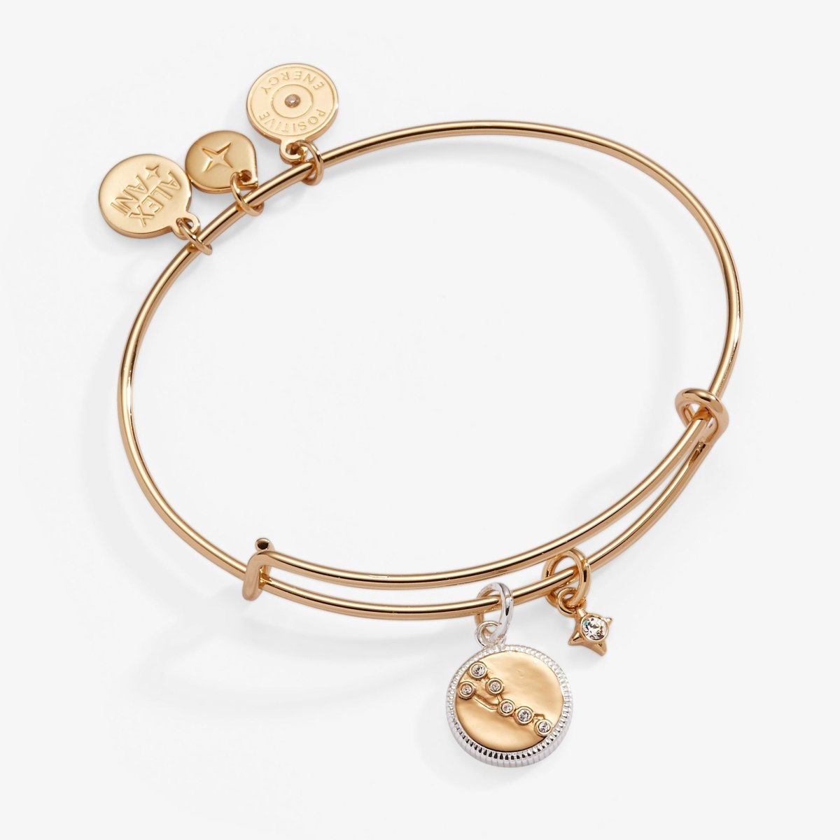 Taurus Zodiac Charm Bangle - Willow & Luna