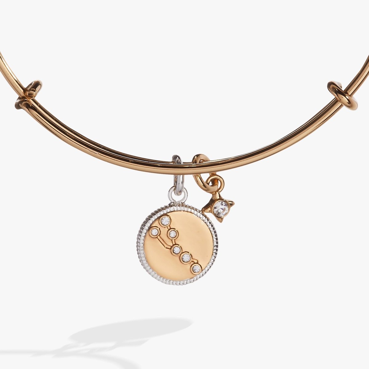 Taurus Zodiac Charm Bangle - Willow & Luna