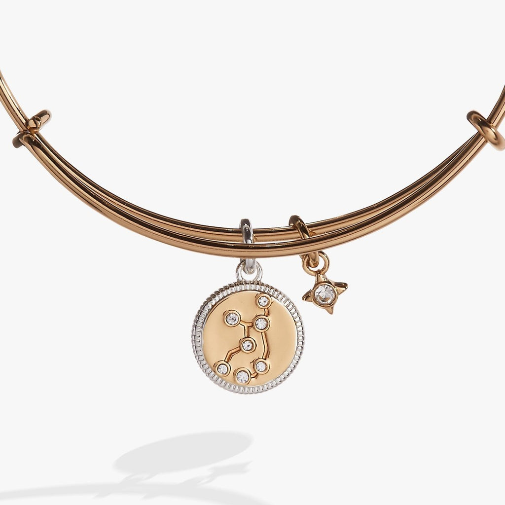 Virgo Zodiac Charm Bangle - Willow & Luna
