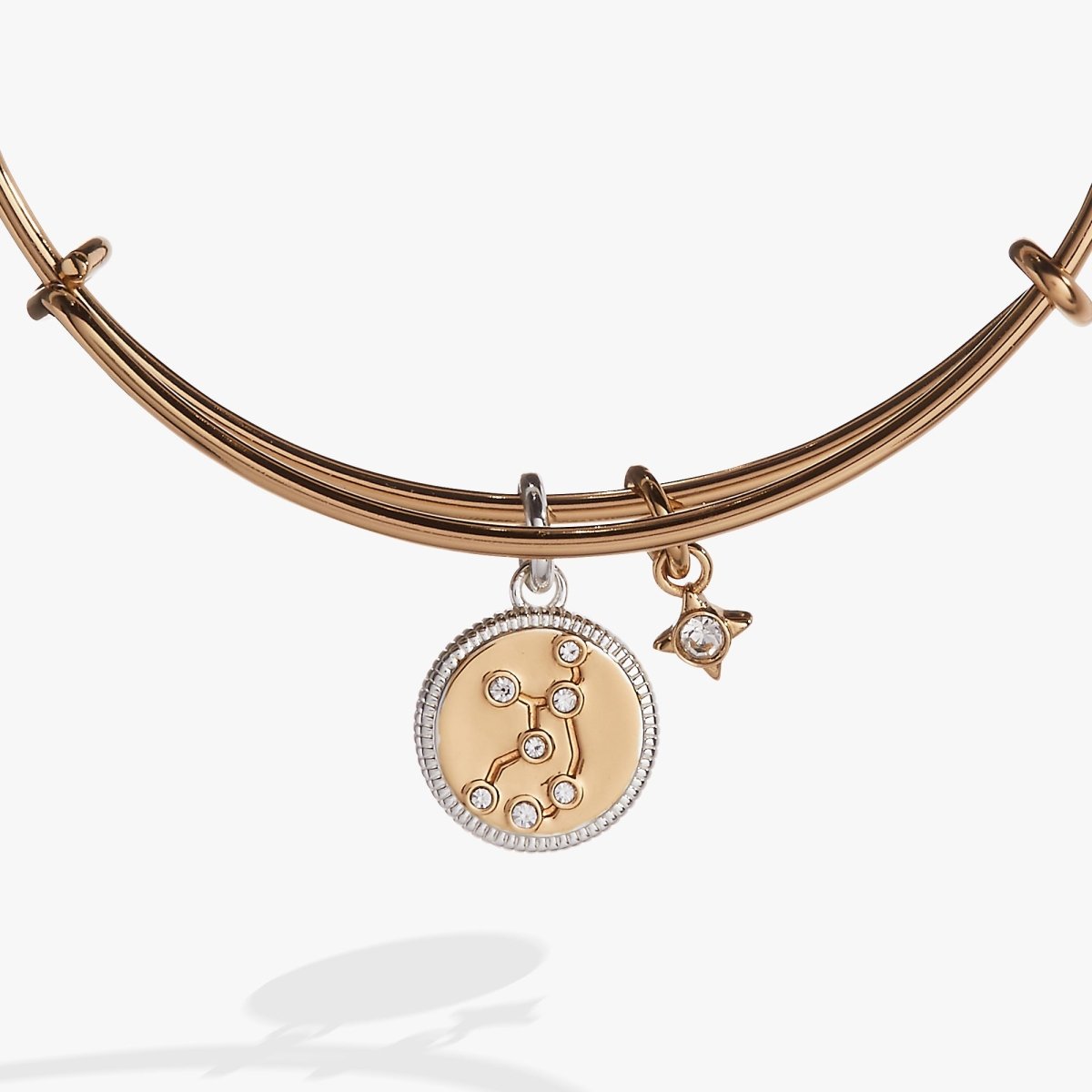 Virgo Zodiac Charm Bangle - Willow & Luna