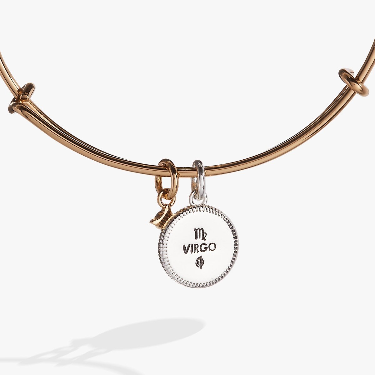 Virgo Zodiac Charm Bangle - Willow & Luna