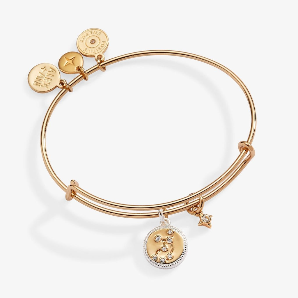 Virgo Zodiac Charm Bangle - Willow & Luna